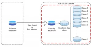 oracle database Cloning Diagram acfs - Blue Crystal Solutions