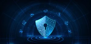 Database Security Services - Blue Crystal Solutions